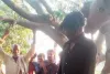 #Motihari News: पेड़ से लटका मिला यूवक का शव, हत्या की आशंका