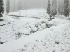 हिमाचल में बर्फबारी से शीतलहर तेज, माइनस में दो जिलों का पारा