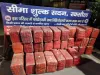भारत-नेपाल सीमा पर 1.31 करोड़ रूपए का 527 केजी विदेशी गांजा जब्त, तस्करी का नायाब तरीका देख चौक गई कस्टम की टीम