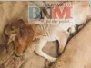 #चमत्कार: किसान के घर में उड़ी जनसैलाब, गाय ने दिया दो सिर और छः पैर वाले बछड़े की जन्म,  चमत्कार मानकर हुई पूजा-पाठ