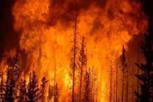 उत्तरी कैलिफ़ोर्निया में अब तक की दूसरी बड़ी आग, हेलीकॉप्टर और विमानों से आग पर अंकुश