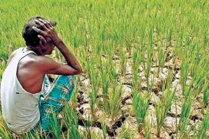 किसानों की खत्म करने की साजिश है तीनों कृषि अध्यादेश : कांग्रेस