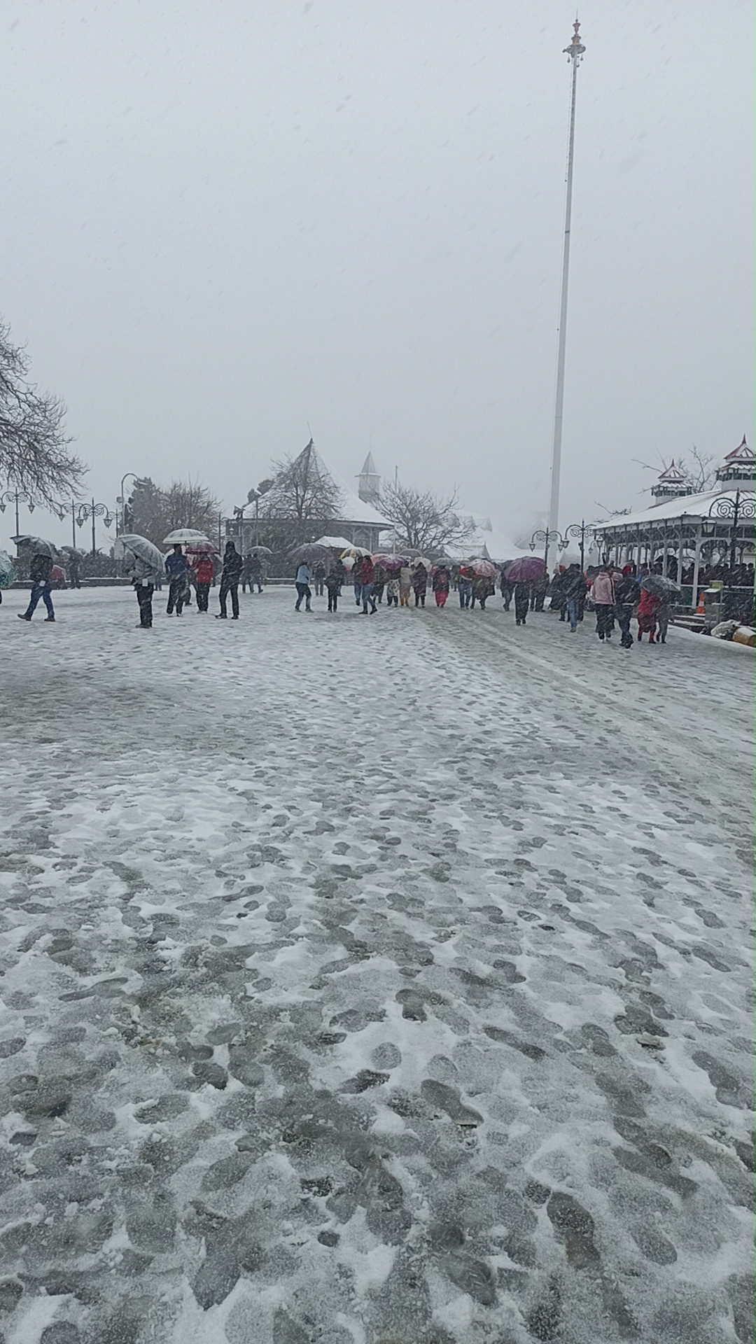 26dl_m_184_26022022_1