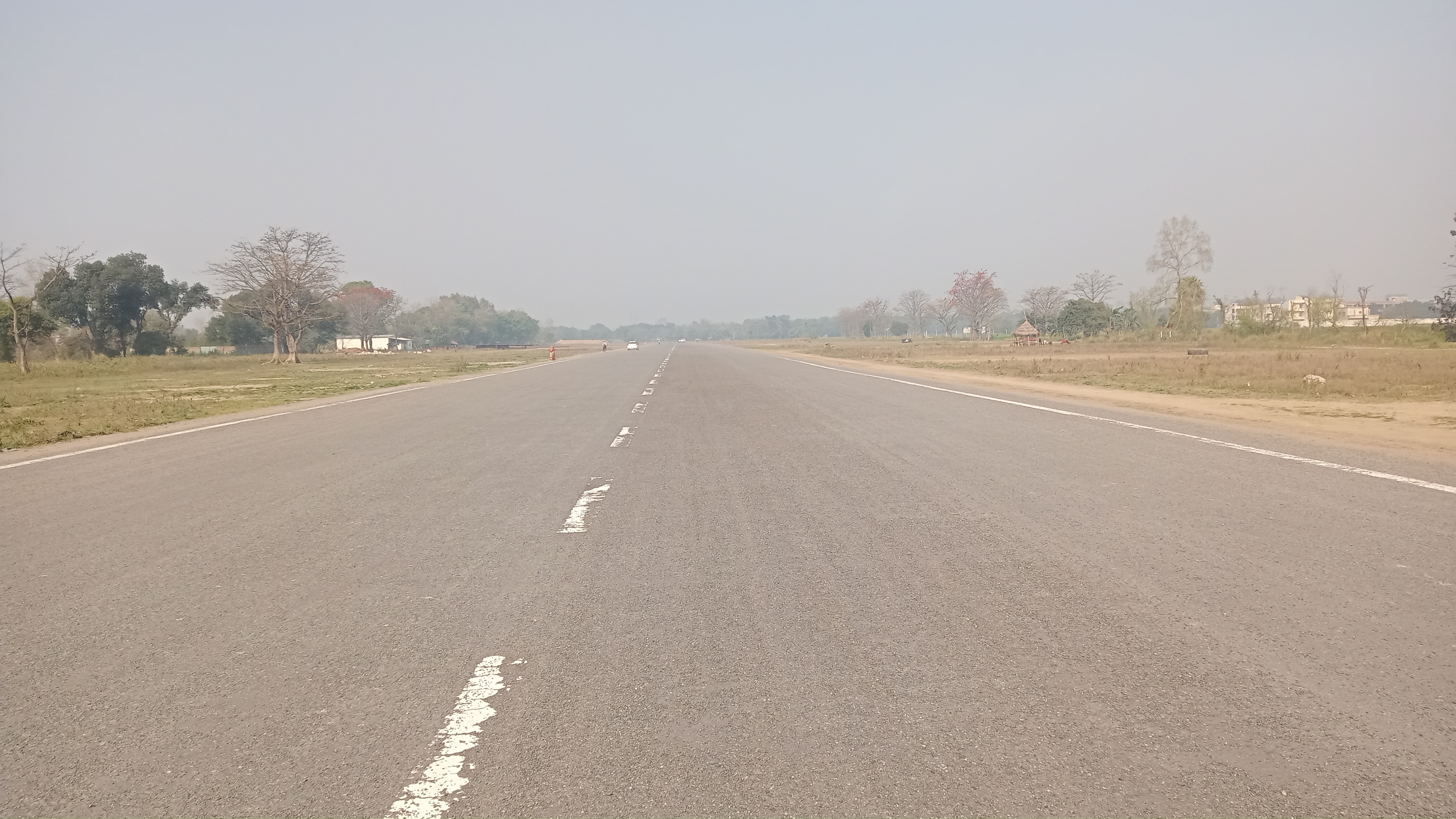 02dl_m_55_02032022_1