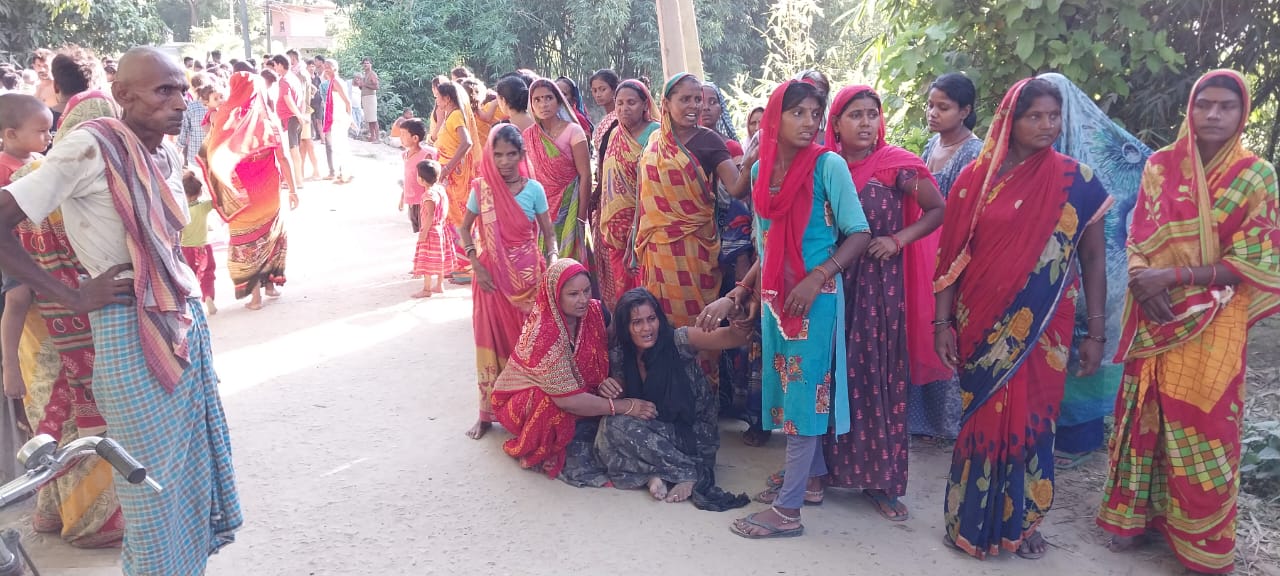 11dl_m_17_11072022_1