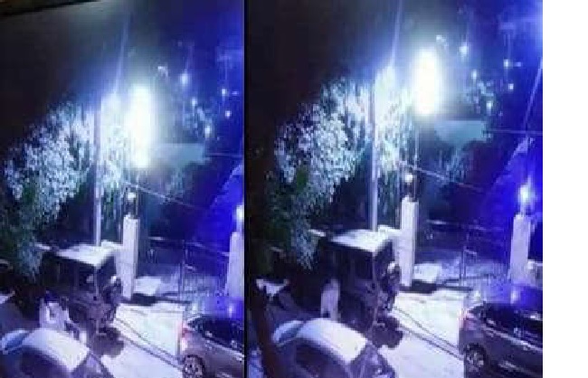 ied planted in car_695