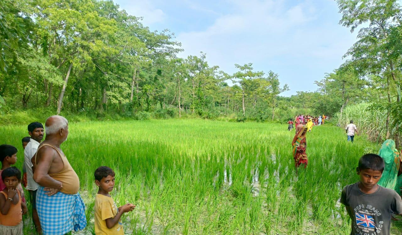 908c227d-c7d4-424c-b213-a0d50bd364bb