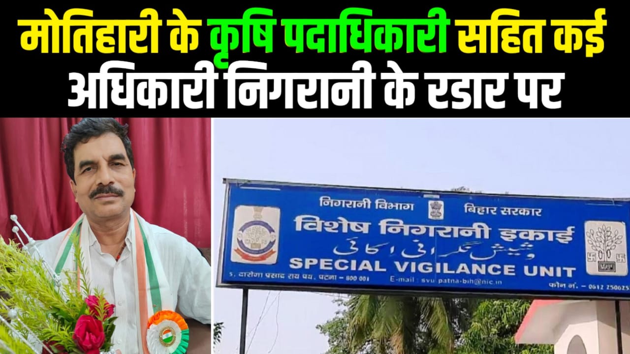 IMG-20230118-WA0196 (1)