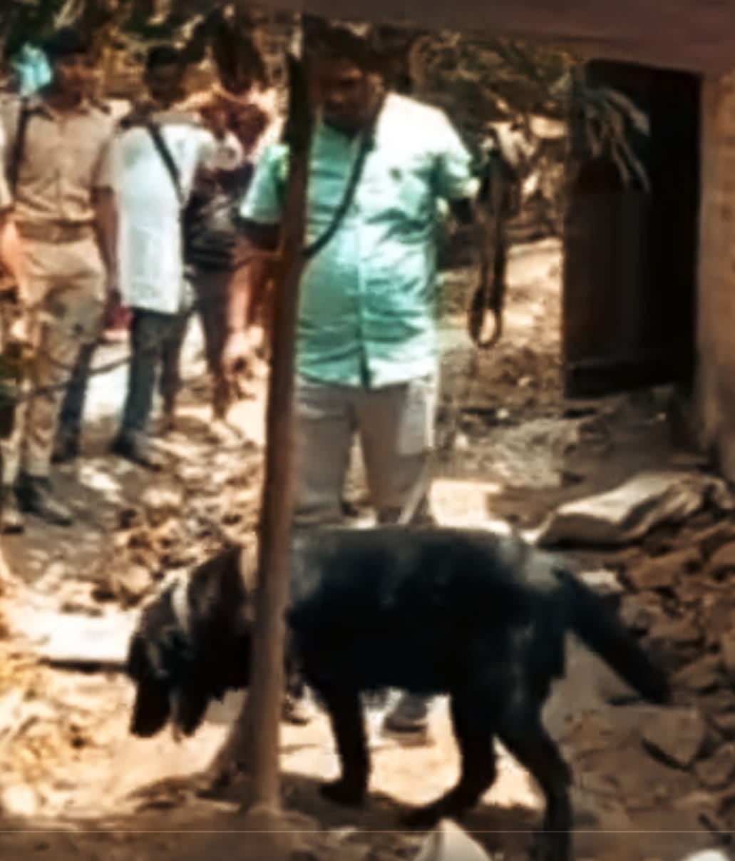 WhatsApp Image 2023-05-20 at 1.30.34 PM