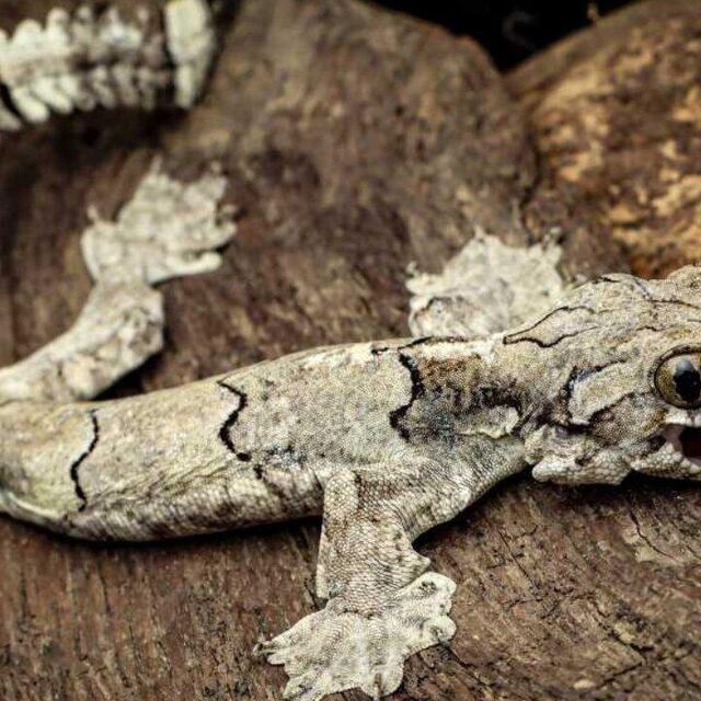 WhatsApp Image 2023-06-15 at 2.21.50 PM