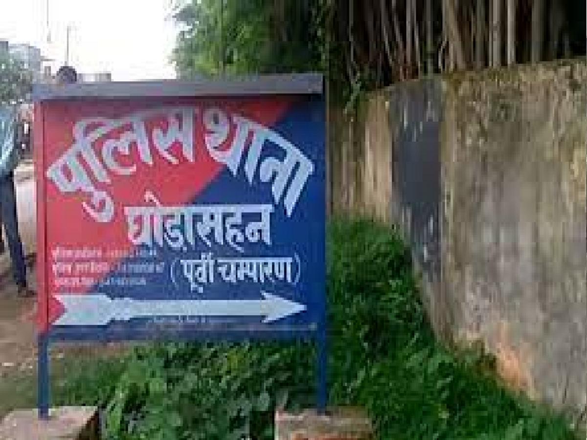 image_search_1766938606048