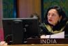 भारत ने आतंकवाद पर दुनिया को चेताया