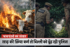 एक ओर ‘नंदी महाराज’ को विधि-विधान से विदाई, दूसरी ओर पालतू बिल्ली की तलाश में जुटी पुलिस