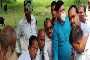 राज्यसभा सांसद ने किया पौधरोपण