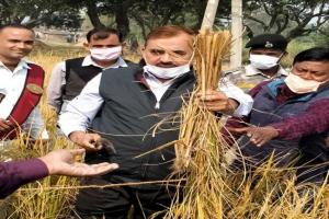 जिलाधिकारी ने धान की फसल काटकर ‘क्रॉप कटिंग’ का किया शुभारंभ