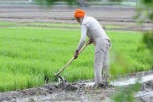 कृषि वैज्ञानिकों ने कृषि विकास का लिया संकल्प