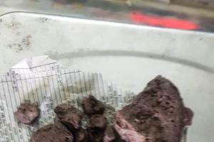 भारत-नेपाल बॉर्डर पर स्मैक बरामद; तस्कर गिरफ्तार