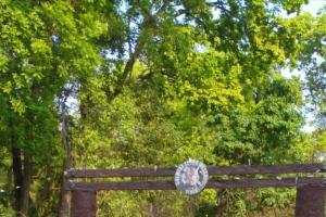 आप वाहन लेकर वाल्मीकि व्याघ्र परियोजना में नहीं जा सकेंगे