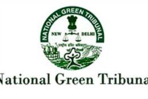 पैकेजिंग में प्लास्टिक के अधिक इस्तेमाल पर एनवायरमेंट ऑडिट कर रिपोर्ट तलब