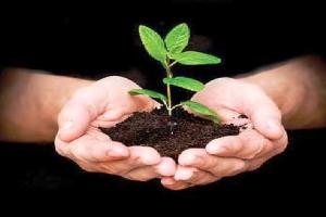 गया में सीआरपीएफ का नक्सल प्रभावित इलाकों में 25 हजार पौधारोपण का लक्ष्य