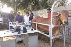 प्रधानमंत्री की महत्वाकांक्षी योजना से बिहार बनेगा नए श्वेत क्रांति का नायक