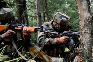 नौशहरा सेक्टर में पाक ने किया सीजफायर का उल्लंघन