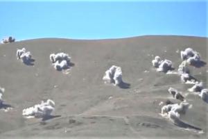 लद्दाख सीमा पर चीन ने गाइडे‍ड मिसाइल ​से किया युद्धाभ्यास