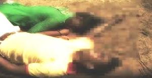 Love birds commit suicide