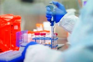 नालंदा में रैपिड टेस्ट किट से कोरोना की जांच शुरू,  आधे घंटे में मिलेगी रिपोर्ट