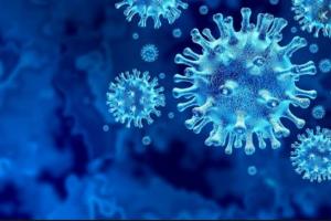 बेहतर रिकवरी रेट के साथ फिर मिले 2087 संक्रमित मरीज