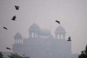 दिल्ली सरकार ने शुरू किया प्रदूषण के विरुद्ध अभियान