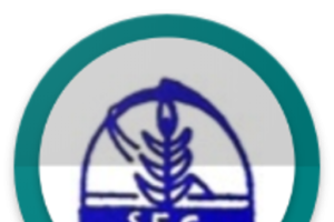 बड़े भाई की जगह ऑफिस में  ड्यूटी करता है छोटा भाई