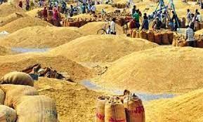 छत्तीसगढ़ में 21.62 लाख किसानों ने बेचा धान