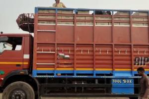 (अपडेट) ट्रक से भारी मात्रा में प्रतिबंधित कफ सिरप बरामद, चालक गिरफ्तार