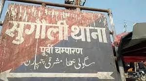 बिग ब्रेकिंग : ट्रक व बाइक की टक्कर, बाइक सवार दो युवक की दर्दनाक मौत