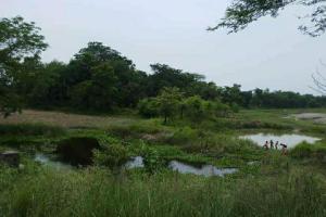 उपेक्षा का दंश झेल रहा मोतिहारी के एतिहासिक ‘घोड़दौड़’ पोखर को मसीहा की तलाश