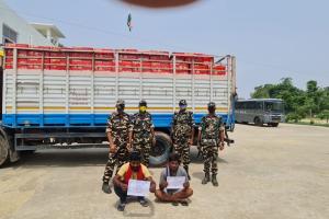 मोतिहारी में 400 पेटी चाइनीज सेब जब्त, ट्रक चालक गिरफ्तार