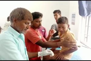 मोतिहारी में पागल कुत्ता ने मचाया आतंक, 15 बच्चों को काटा