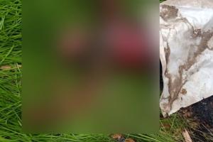 मोतिहारी में मिला लड़की का अधजला शव, दुष्कर्म के बाद हत्या की आशंका