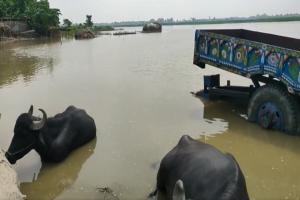 बिहार में नदियां उफान पर, गंडक, कोसी, बागमती का जलस्तर खतरे के निशान से ऊपर