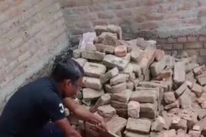 मोतिहारी में सांप के काटने से महिला की मौत, मची चीख-पुकार