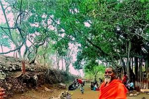 पूरे देश में वायरल हो रही है वानर सेना की पंगत