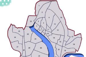 Motihari News: हल्की बारिश के कारण मोतिहारी के कई वार्ड के नाले, नदी के रूप में हुई तब्दील