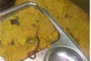 #MDM: MDM में क्यों निकलते हैं कीड़े-छिपकली और सांप ? 38 लापरवाह अफसरों पर गिरी गाज, वेतन भी कटा