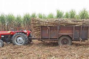 बिगनी मलाहीन : दिल के अरमा आंसू बनकर मोतीझील मे बह गए ....