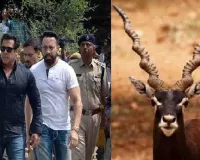हिरण शिकार मामले में सलमान खान को मिली हाजिरी माफी